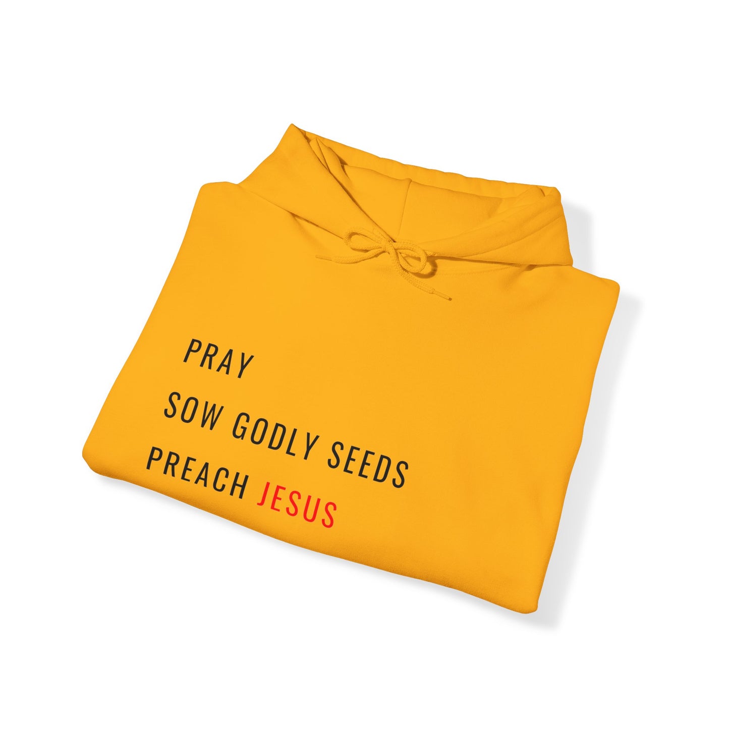 KINGDOM TEACHER MANDATE Hooded Sweatshirt